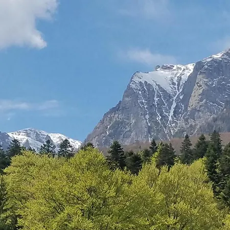 Casa Tex * Buşteni
