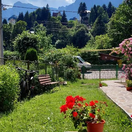 Ferienhaus Casa Tex Buşteni