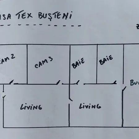 Casa Tex