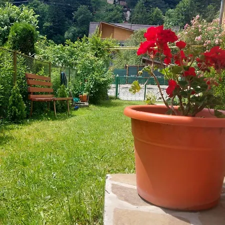 Casa Tex * Busteni