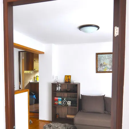 Casa Tex Buşteni